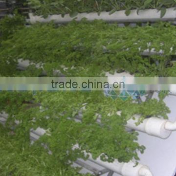 A Type Hydroponic Shelf for agricultural greenhouse sale