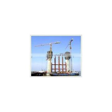 P300(SCM)tower crane