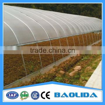 6m/8m/9/ Vegetables Single span Greenhouse