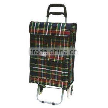 Shopping trolley bag