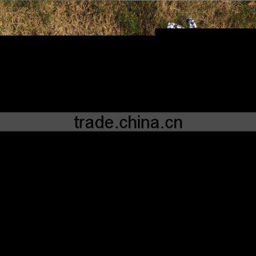 2015 New Baby Girls July 4th Chevron Star Outfits Top Set Outfits With Matching Necklace and Bow photo-2