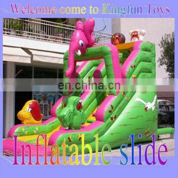 New Noah's Ark inflatable slide for rent