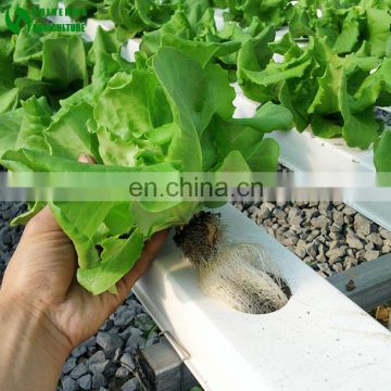 Agricultural Greenhouse Hydroponic Channels Set hydroponic growing systems