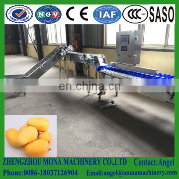 ellipse fruits classification machine made in China