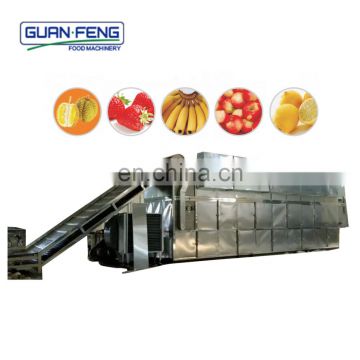 Efficient Fluidized IQF freezer iqf tunnel freezer for fish for good price