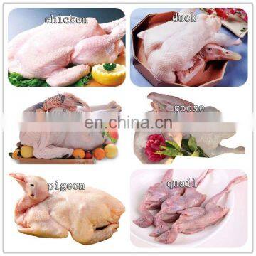 Fast Delivery Automatic Chicken Cutting Machine Stainless Steel Chicken Cutter Price photo-7