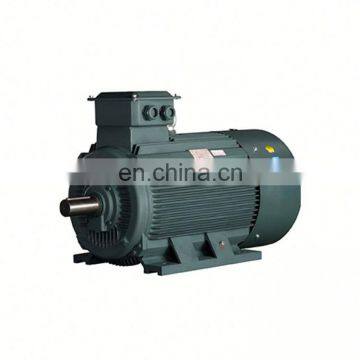 Electric IE3 series totally Enclosed 3 phase ac induction motor