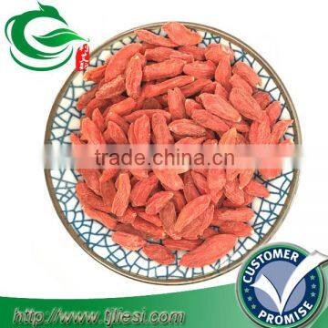 dried goji berry