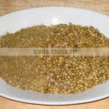 Super grade Coriander seed at your door step