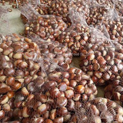 Manufacturer Wholesale Organic Healthy Raw Fresh Chestnuts