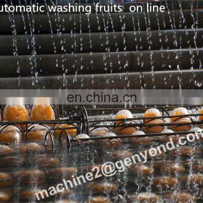 New Listing Fruit and Vegetable Cutting Washing Machine Vegetable Processing Line In the Field of Food Machinery photo-5
