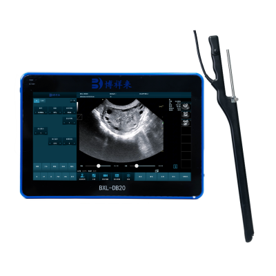 Color Doppler Cattle OPU Veterinary Ultrasound Machine BXL-DB20 photo-4