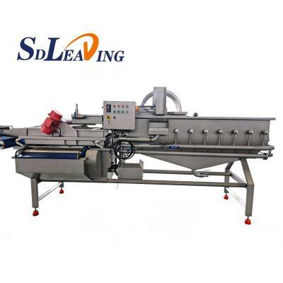 Vegetable and Fruit Automatic Bubble Vortex Vegetable Washing Machine Citrus Washing Machine