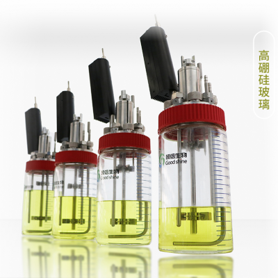 Стеклянные ферментаторы | Лабораторные биореакторы для культивирования клеток и микробной ферментации