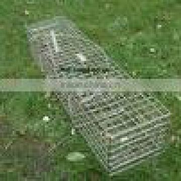 Fox Cage Trap