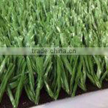 Synthetic Lawn(GPE-50)