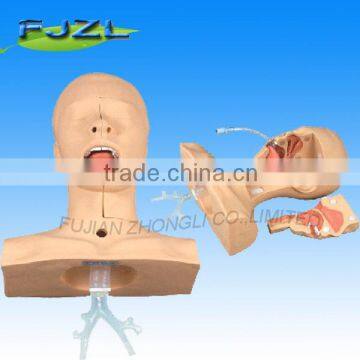 Medical Suction Training Model,medical training manikin