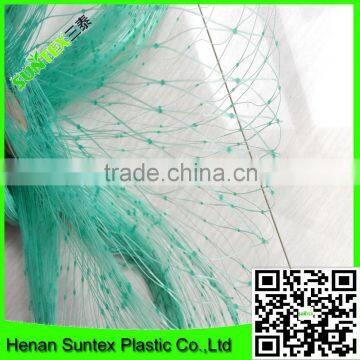 PE Plastic Anti Bird Netting/agricultural Anti Bird Net/cheap Bird Netting for Fruit Cover photo-6