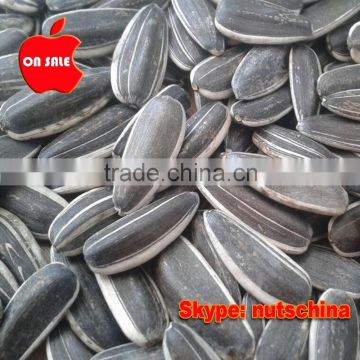 sunflower seeds 260 PCS 270 PCS 280 PCS 290 PCS 300 PCS 310PCS