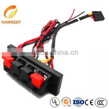 Custom Auto Switch Power Window Switch For Car photo-6