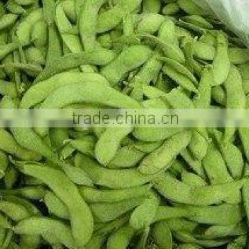 New Crop Frozen Soy Beans