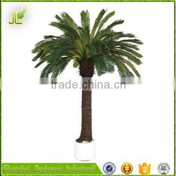 Hot Sale Oranmental Artificial Cycas Revoluta Tree for Sale From China photo-6