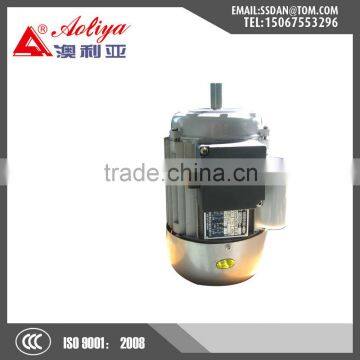 Single phase asynchronous AC motor