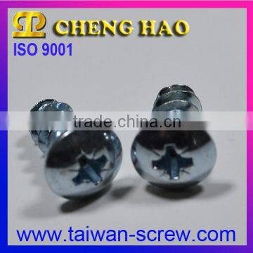 Excellent Quality Slotted Truss Head Screw