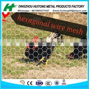 Square Chicken Wire Mesh /Galvanized Hexagonal Wire Mesh Nettings in dingzhou factory