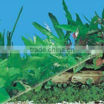 waterproof plastic doublesizes aquarium background picture J11/J03