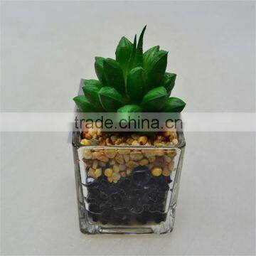 New Product New Arrival Artificial Plant with Little Glass pot