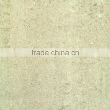 light gray polished floor tile (V6181P/M/U)