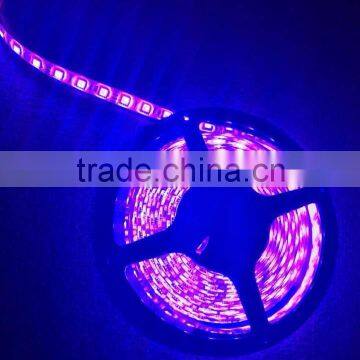 12V LED Strip Light SMD 5050 STRIP LED LIGHT photo-5
