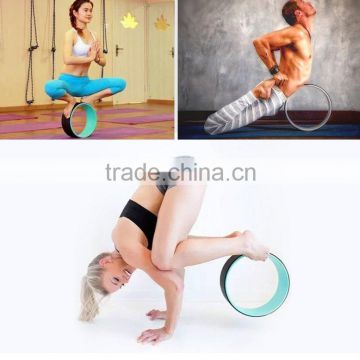 2017 hot Custom Promotional Gym Wheel For Balance Training Exercise Fitness Yoga Wheel