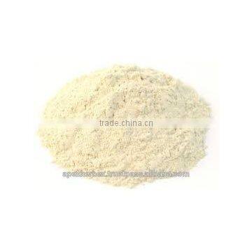 Banana Pulp Powder / Spray Dried Banana Powder / Powder of Banana