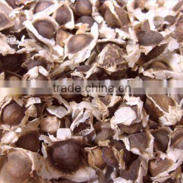 MORINGA SEED FOR AYURVEDIC REMEDY photo-3