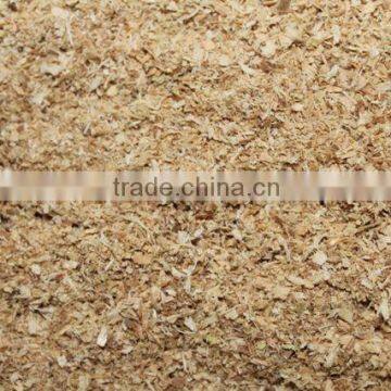 PINE + RUBBER + ACASIA SAWDUST FROM VIET NAM (mary@vietnambiomass.com)