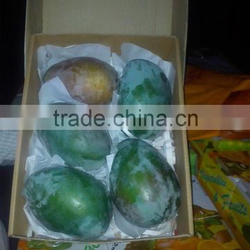 Egyptian Sweet Mango Alphonse type(500gm)