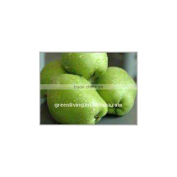 chinese fresh su pear