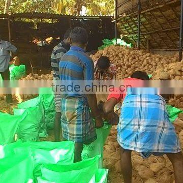 South Indian Coconut which is popular in UK market