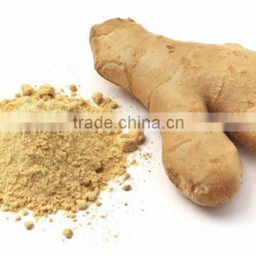 Best 100% Yellow Ginger Powder from Vietnam, good quality