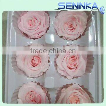Beautiful wholesales preserved fresh rose flowers