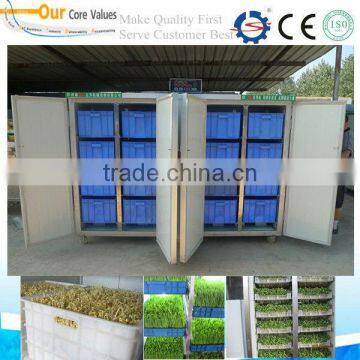 Hot sale bean sprout machine 0086-15037185761