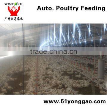 Wincore automatic broiler feeding system Poultry Chain Feeding system