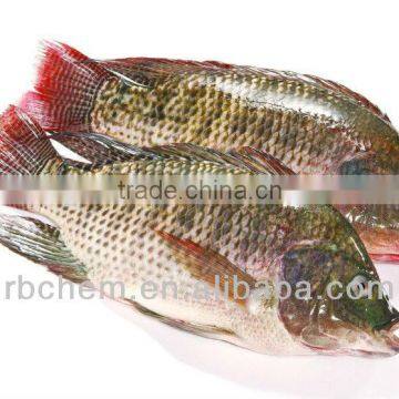 Tilapia fish feed premix