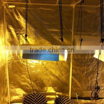 Hydroponics Growing system/Hydroponics greenhouse system