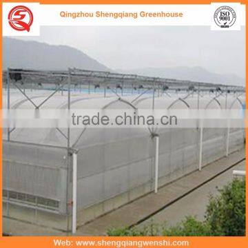 Agriculture Equipment Multi-span 6.0m PO Film Greenhouse for Sale photo-4
