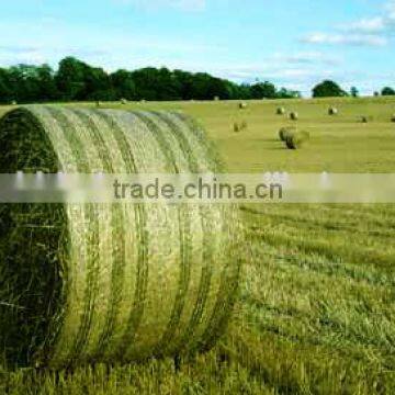 White Silage Wrap Bale Net for Grass Balers. photo-4