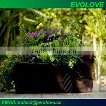 Flower decorative plant pots indoor