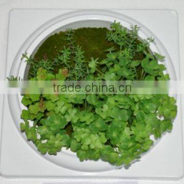 SJ0409028 Mini Artificial Fake Wall/hanging Plant Wall photo-4